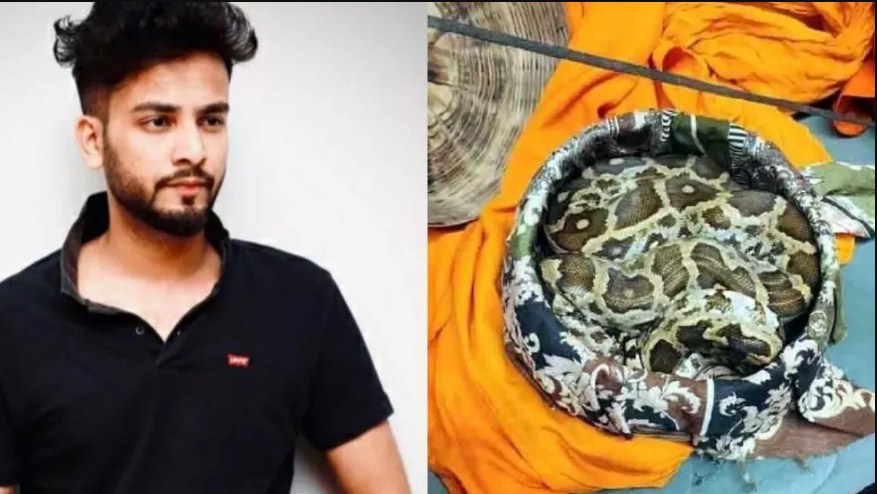 Elvish Yadav snake video मामले में 20 January को आमने-सामने की सुनवाई, Police ने आरोप पत्र दाखिल किया।