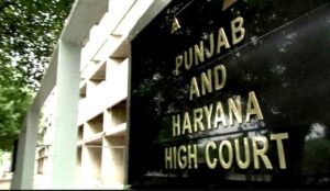 High Court ने दुष्कर्म पीड़िता को गर्भपात करने की अनुमति दी, जख्मों का प्रमाण महत्वपूर्ण