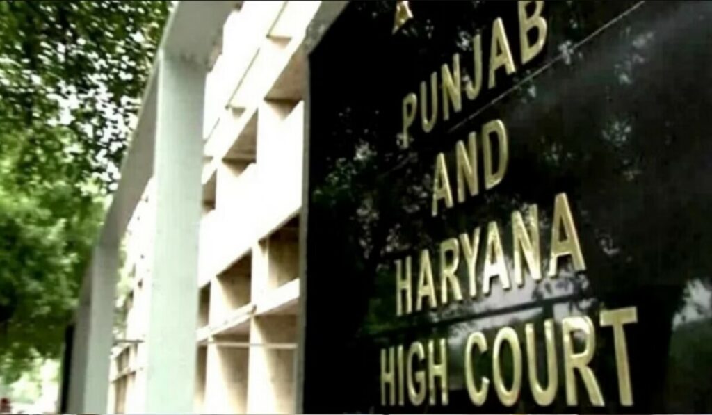 High Court tightens crackdown on drugs: Haryana-Punjab में ड्रग व्यापार एक महामारी की रूप में ले लिया है, तस्कर हैं युवा पीढ़ी के हत्यारे