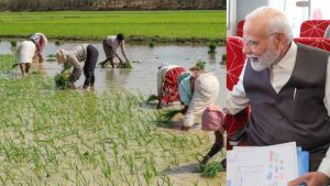 modi or farmer