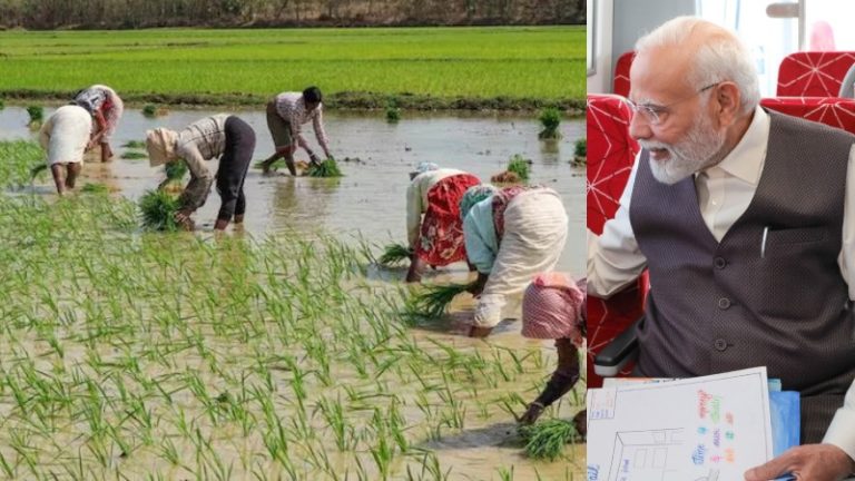 modi or farmer
