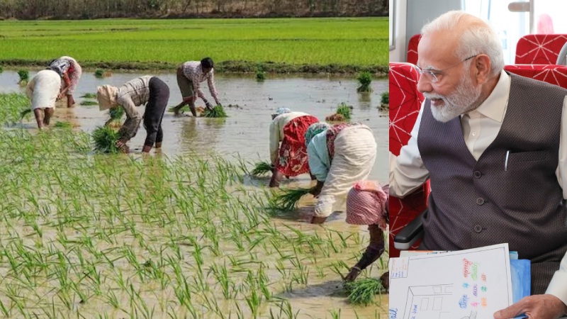 modi or farmer